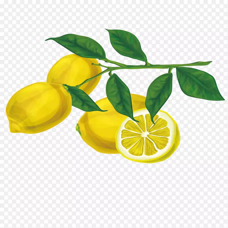树柠檬柠檬树
