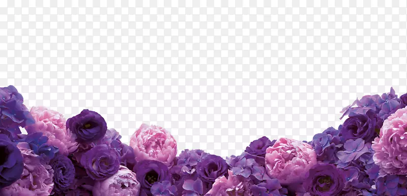 花卉设计切花紫色壁纸紫色花