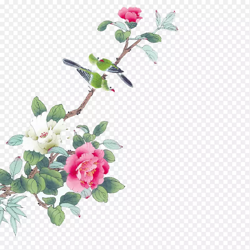 鸟花裙牡丹-花鸟