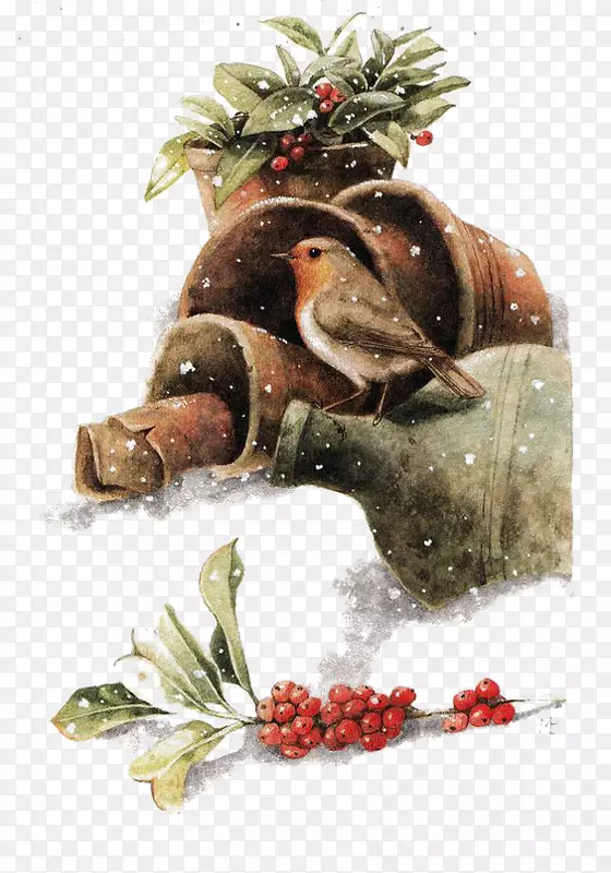鸟画圣诞插画-冬季鸟