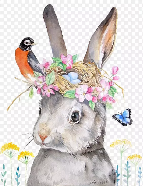 荷兰兔画插图-兔子