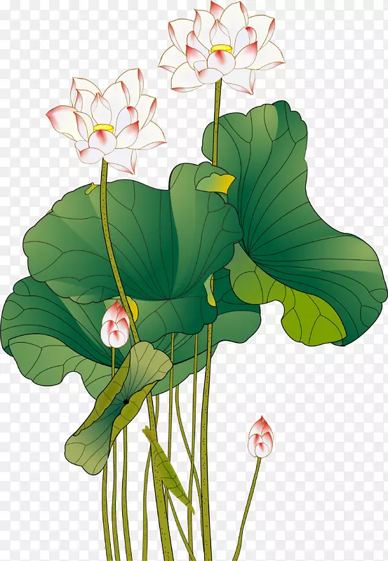 下载水墨画-彩色水墨中式莲花