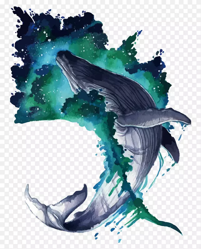 鲸鱼水彩画插图.鲸