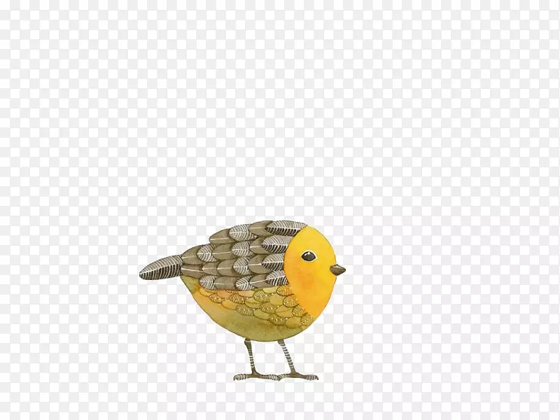 鸟类艺术绘画插图-可爱的鸟