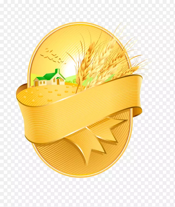 小麦收获穗金粒