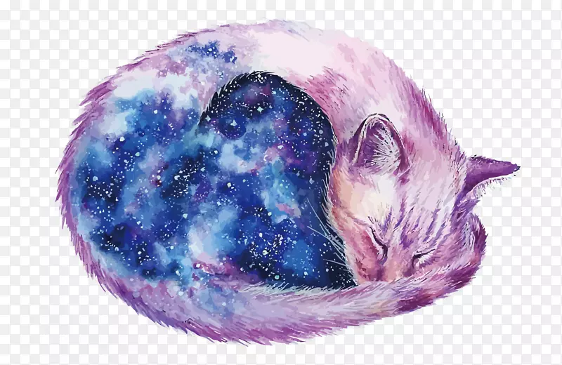 猫水彩画艺术天空猫