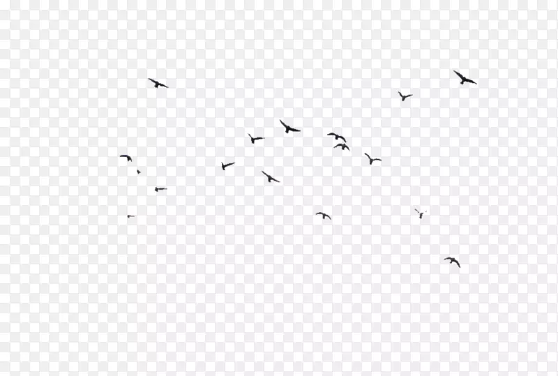 黑白角点图案-鸟飞浮标