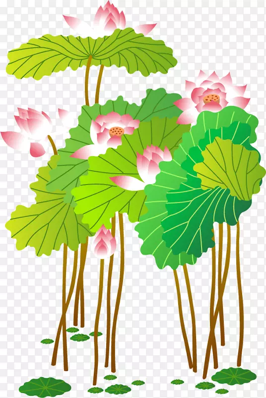 图插画-手绘莲花
