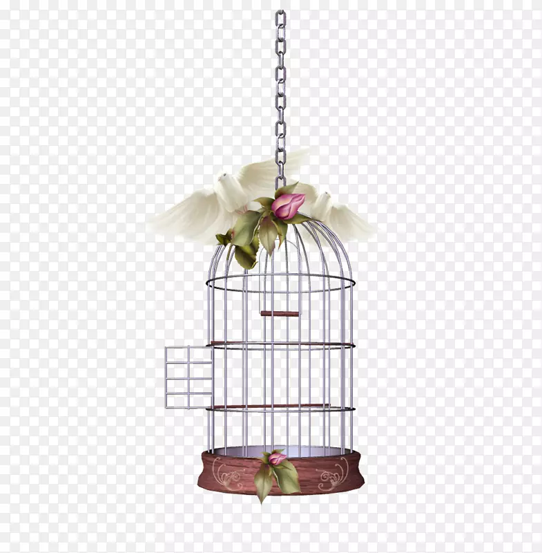 鸟笼鹦鹉-美丽的鸟笼材料自由拉