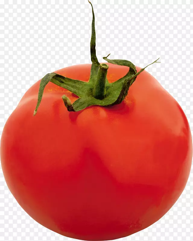 比索番茄汤意大利面包装-番茄PNG