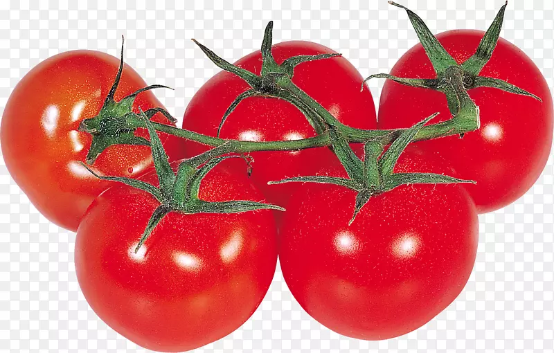 樱桃番茄炒绿番茄蔬菜剪贴画-番茄PNG