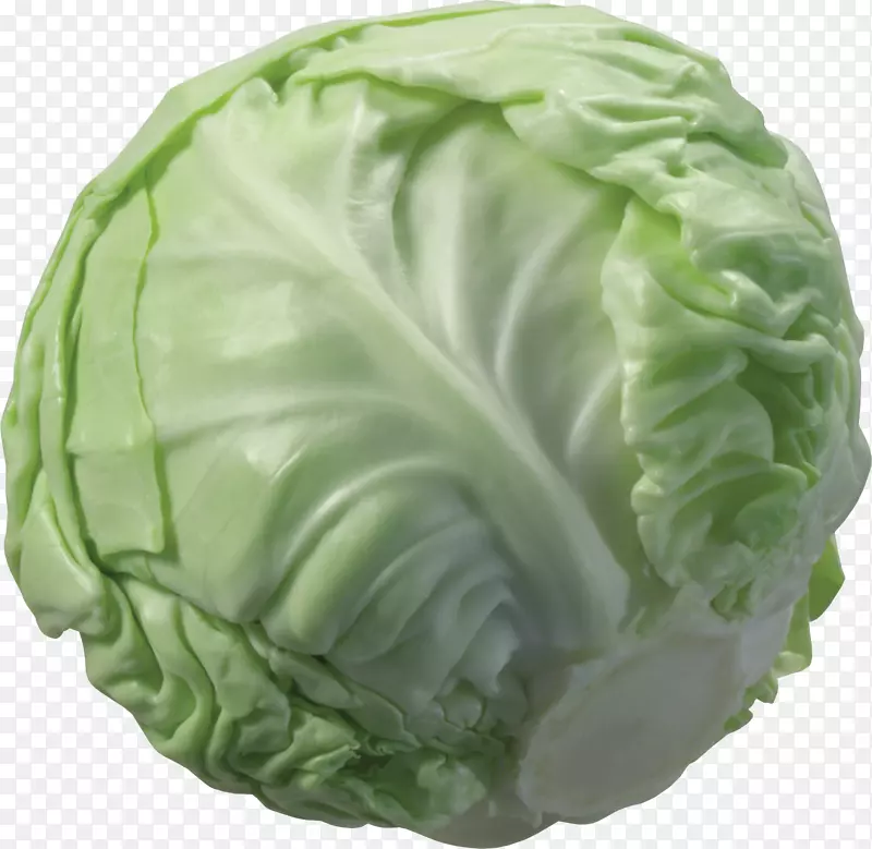 白菜花椰菜蔬菜花椰菜-白菜PNG图像
