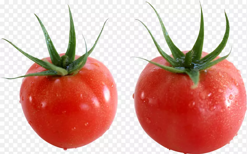 番茄沙拉卷-番茄PNG