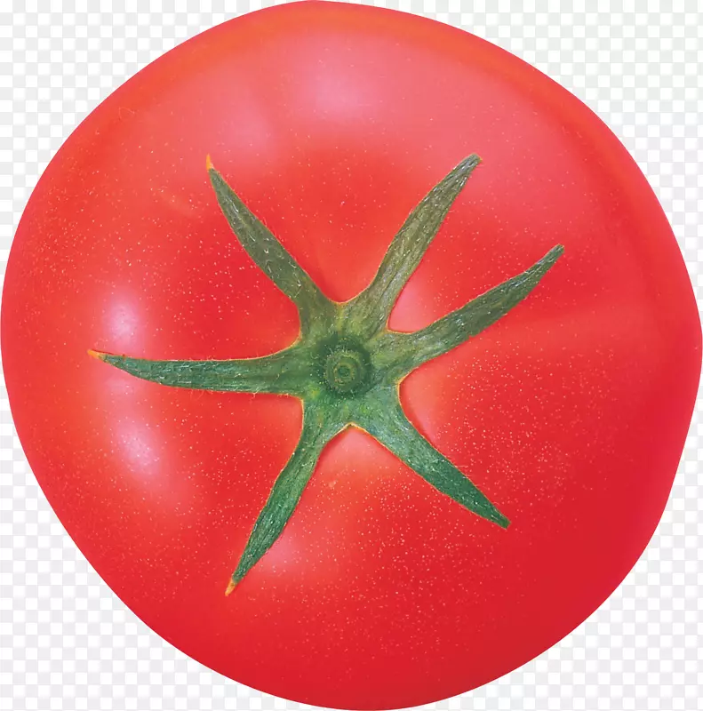 番茄泥3光景蔬菜水果-番茄PNG