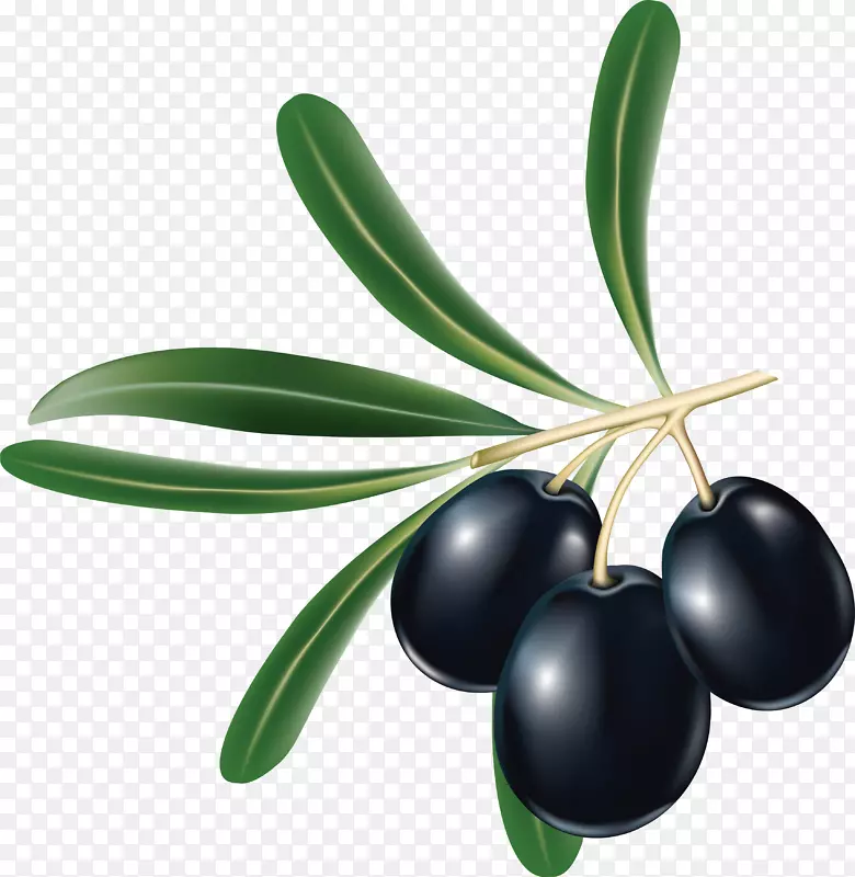 卡拉玛塔橄榄希腊菜黑色橄榄黑橄榄PNG