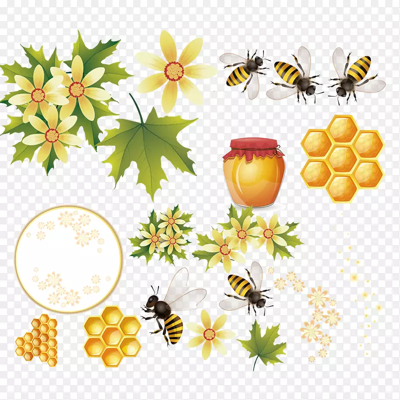蜜蜂下载-蜂巢载体资料