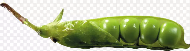 豌豆汤无脉冲电活性蔬菜籽-豌豆PNG