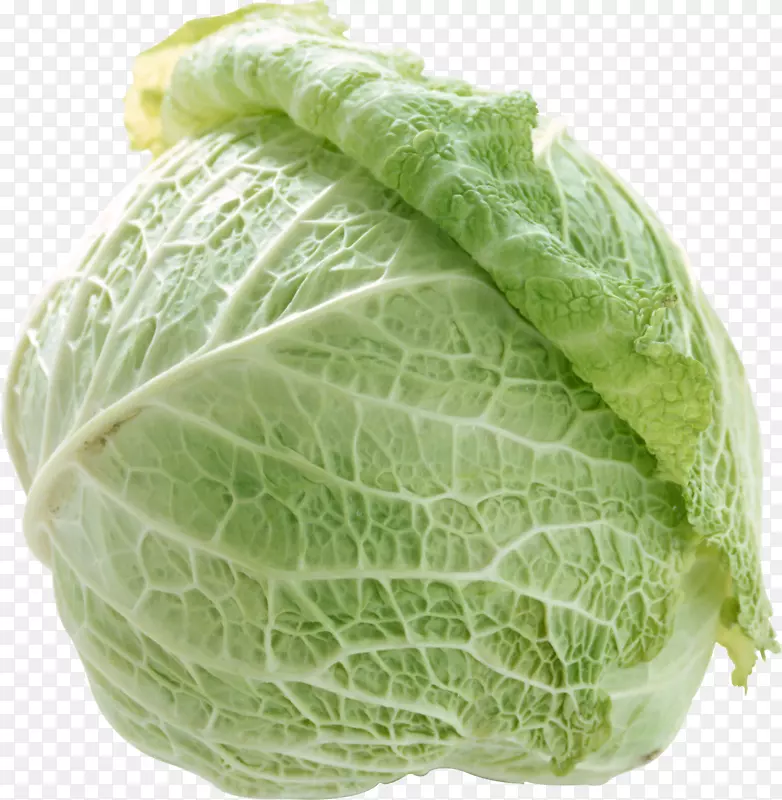 花椰菜包心菜骨髓-茎甘蓝、春绿叶、生菜-白菜PNG图像