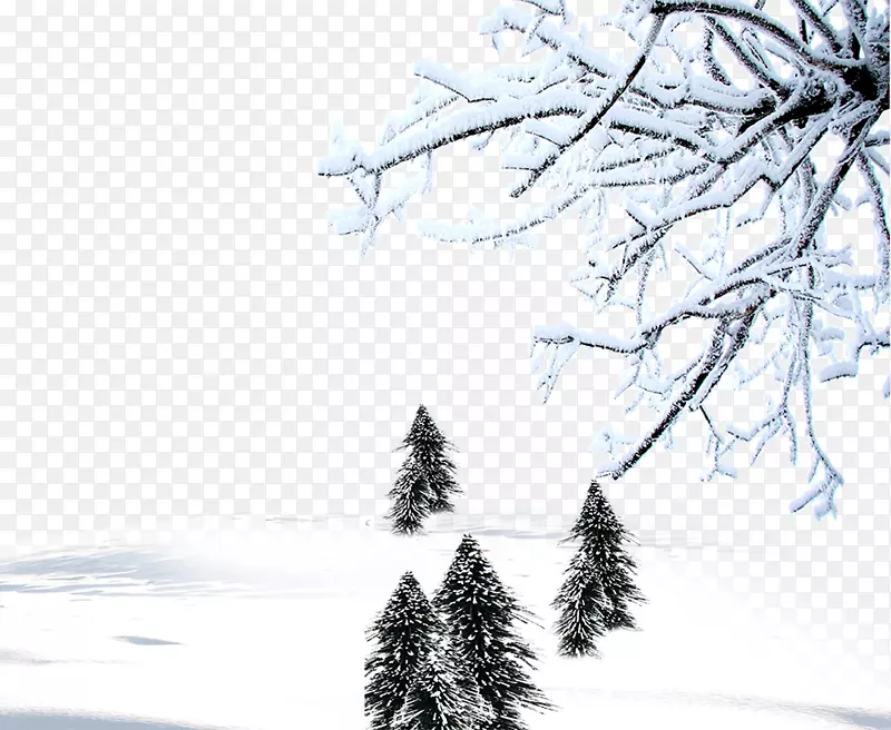 冬季雪下载-冬季背景资料