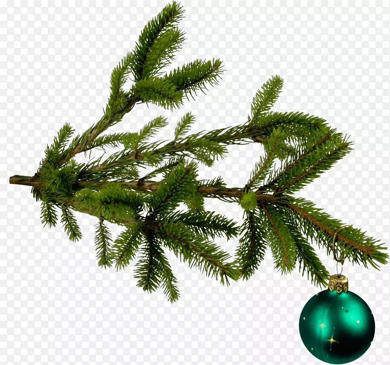 布朗纳圣诞仙境圣诞树装饰-圣诞树树枝