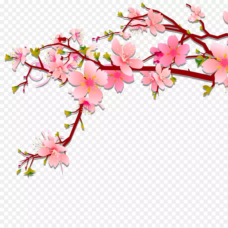 粉色桃花枝条PNG图片素材下载_图片编号9318-PNG素材网