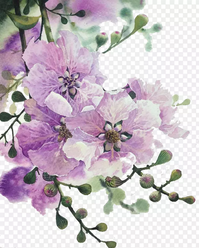 花卉设计花武汉造船工程学院紫花-紫花