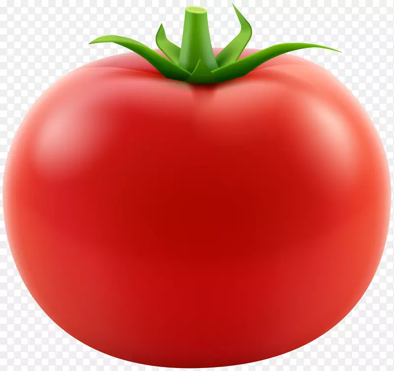 李子番茄灌木丛番茄食品品牌-红色番茄透明PNG剪贴画图像
