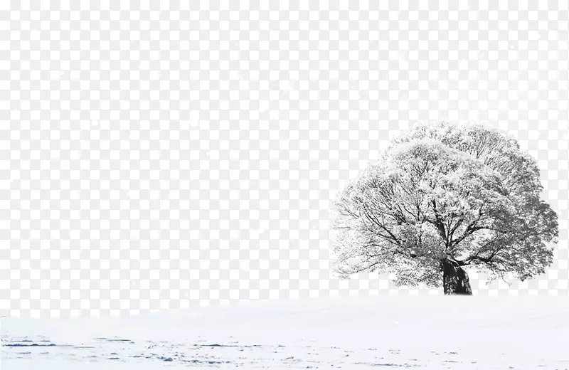 雪景-雪景设计