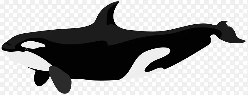 虎鲸海豚剪贴画-虎鲸PNG剪贴画图片