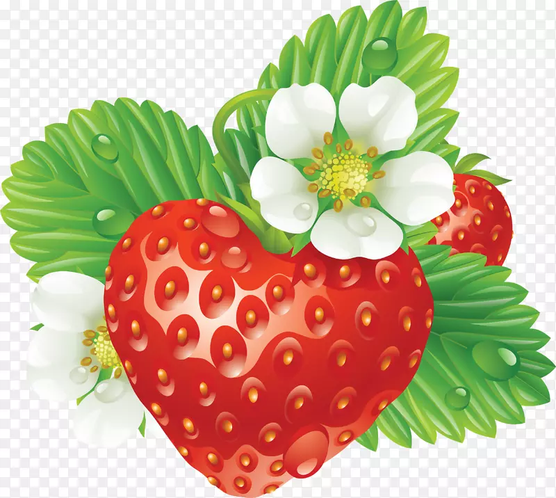 野生草莓短蛋糕花弗吉尼亚草莓-草莓PNG图片