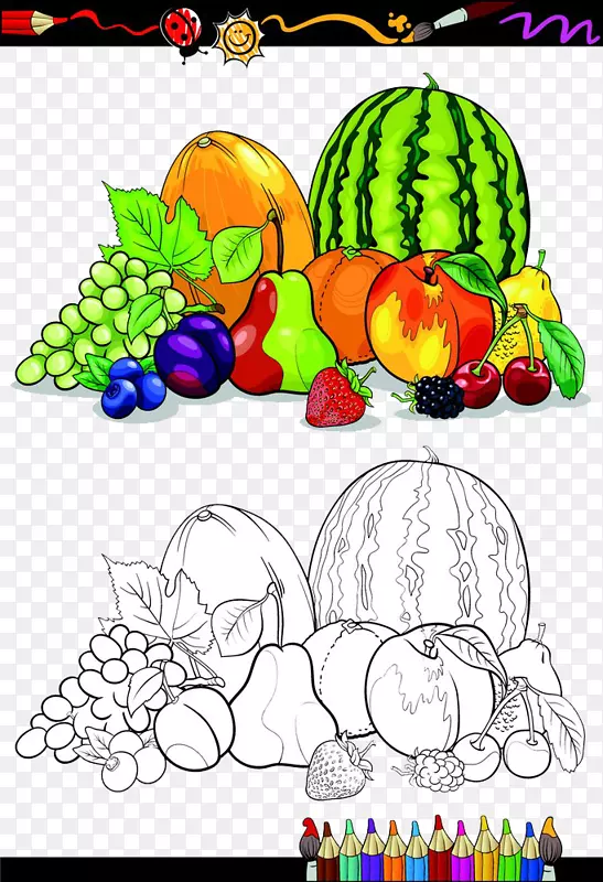 果蔬素描-大水果卷