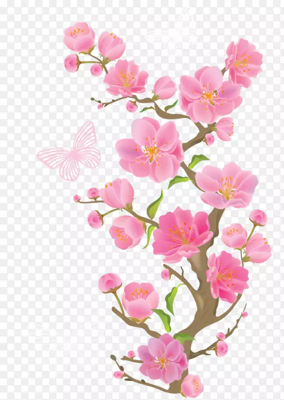 粉红色花朵剪贴画-蝴蝶春枝