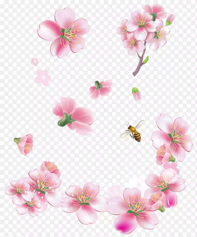 粉红色花朵剪贴画-春天粉红色的树花PNG剪贴画部分