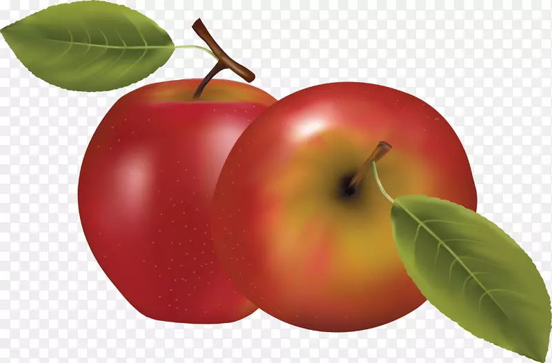 苹果图标水果-苹果PNG