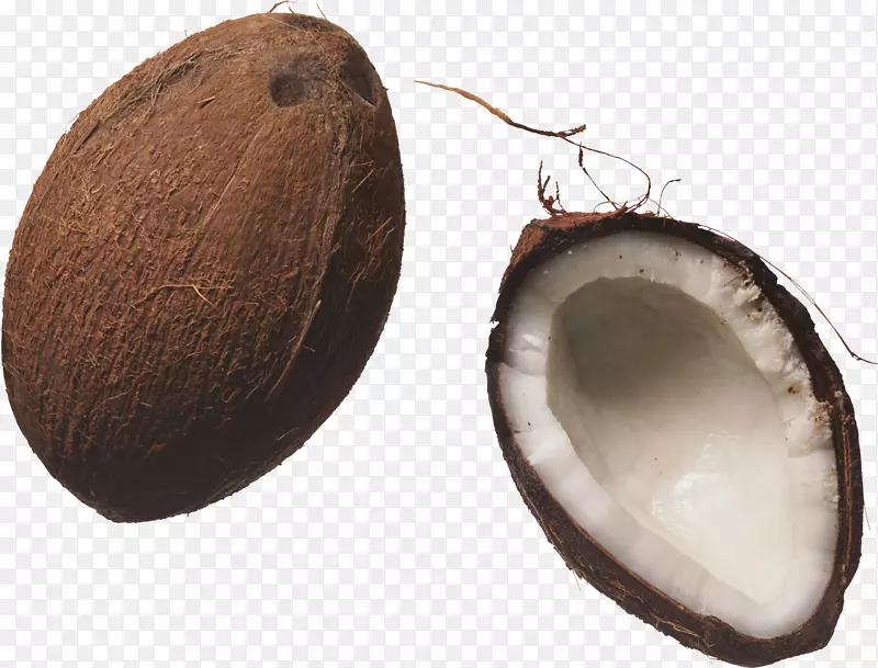 椰子汁珠心-椰子PNG图像