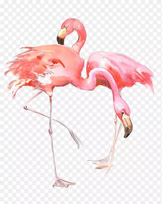 Flamingo AllPosters.com印刷绘画版画-绘图火烈鸟