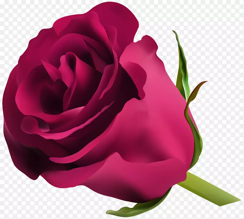 蓝玫瑰插花艺术-粉红色玫瑰PNG剪贴画