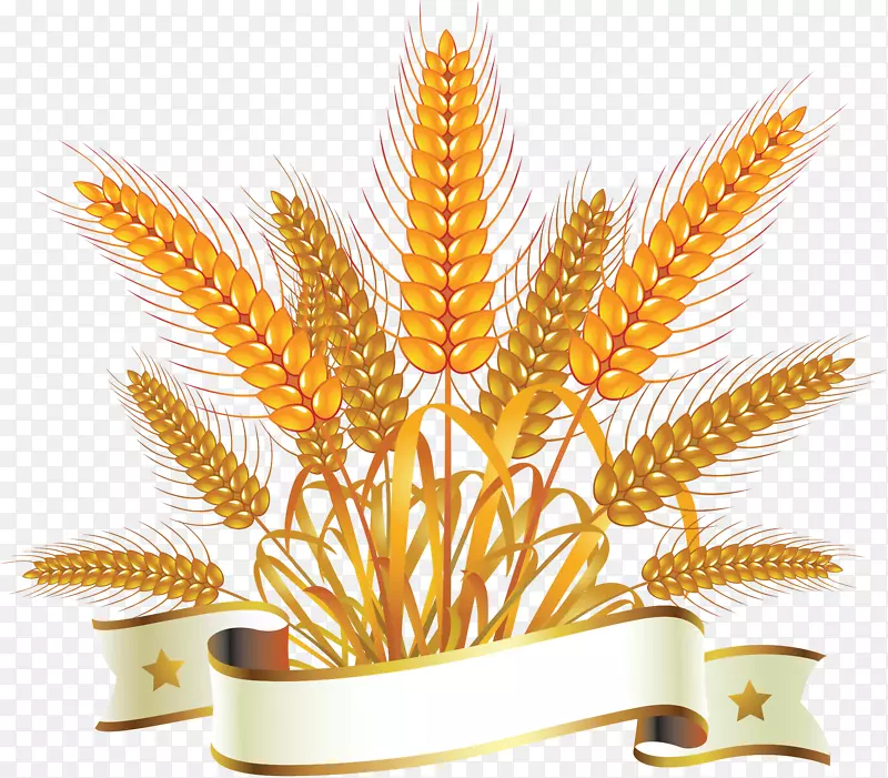 面包小麦版税-免费剪贴画-小麦PNG
