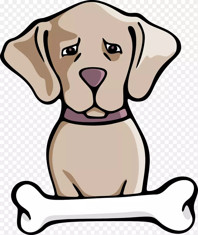 西伯利亚哈士奇小狗宠物插图-卡通宠物狗