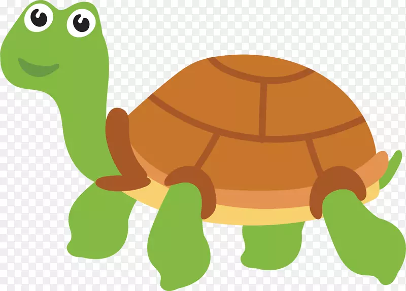 海龟-手绘海龟