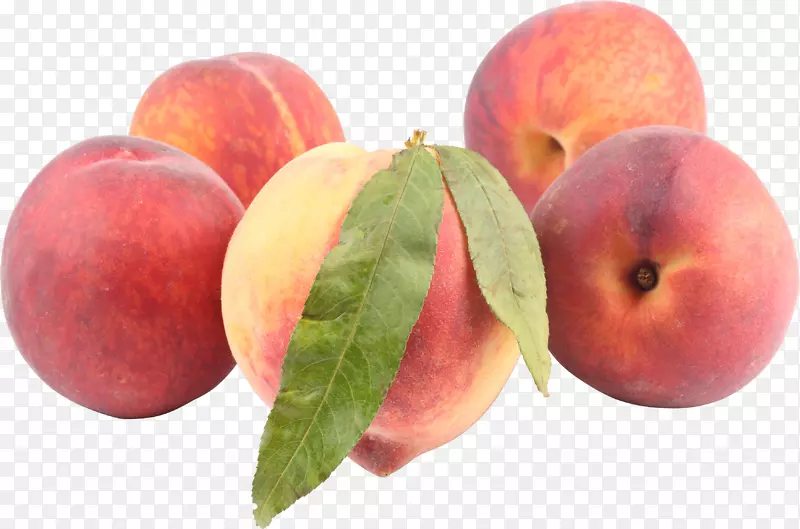 桃子和奶油-桃PNG图像