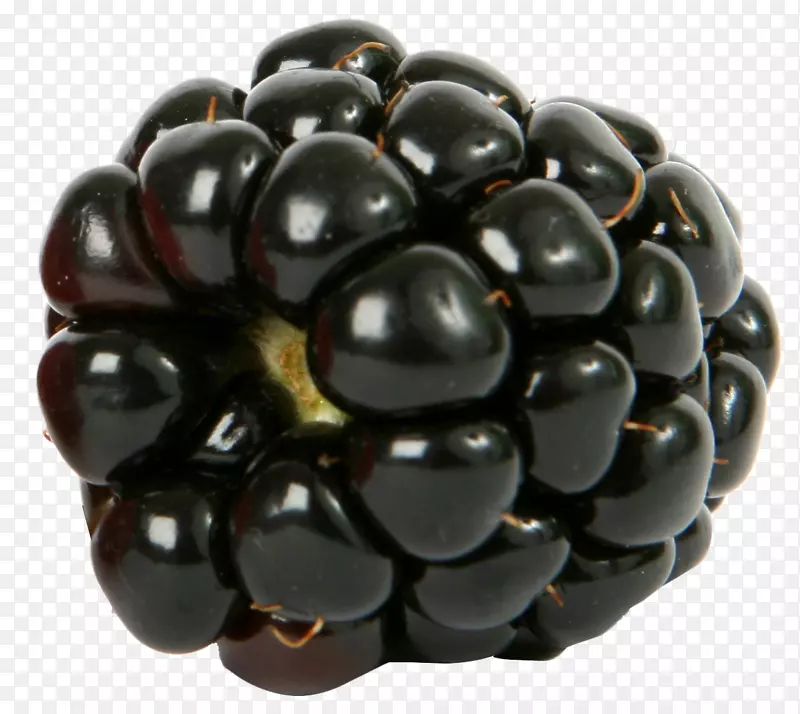 蓝莓黑莓覆盆子水果-黑莓PNG