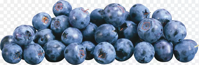 欧洲蓝莓-蓝莓PNG
