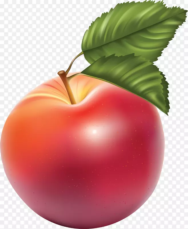 水果苹果剪贴画-红苹果PNG