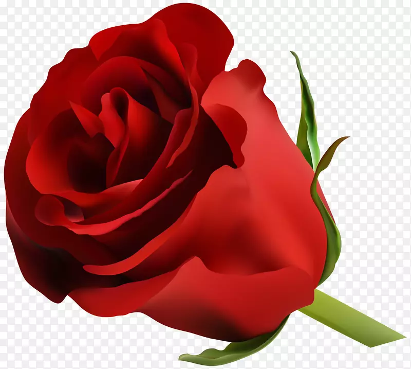 蓝玫瑰插花艺术-红玫瑰PNG剪贴画图片