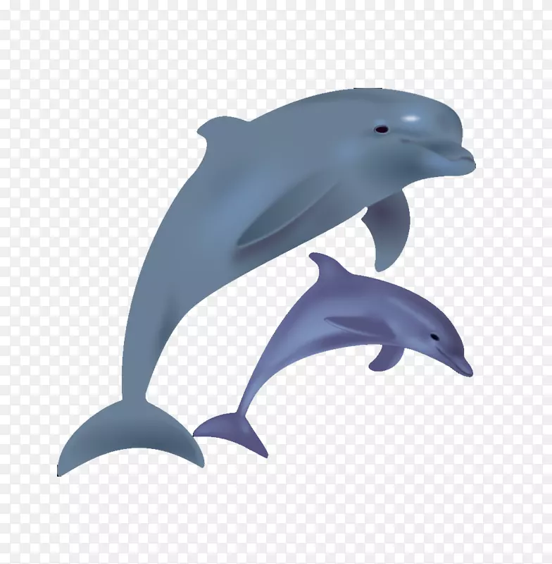 宽吻海豚剪贴画-卡通海豚跳跃