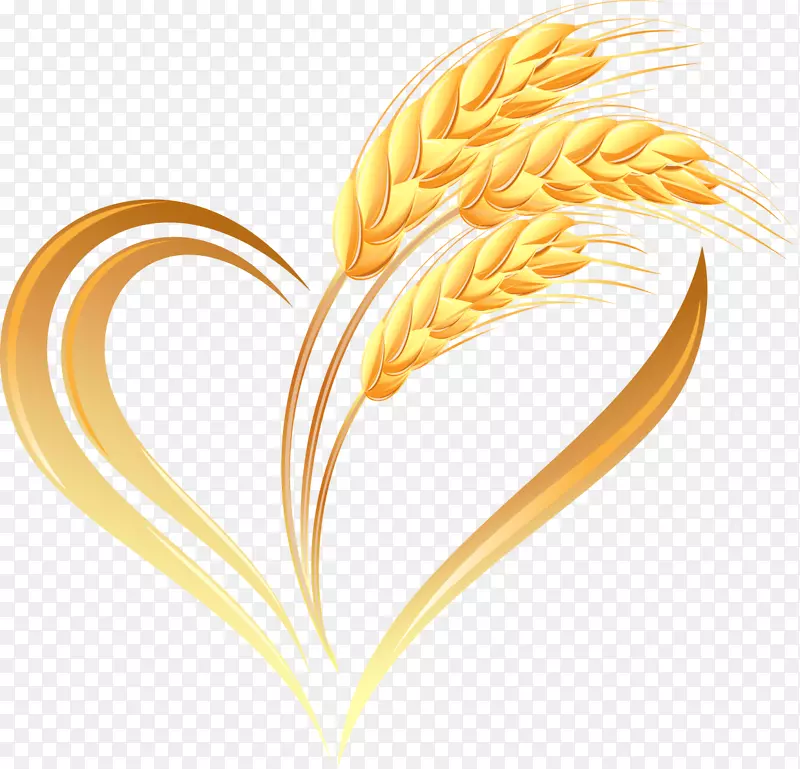 小麦标志穗-创造小麦心