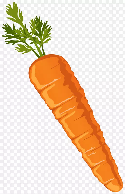 胡萝卜蔬菜剪贴画-胡萝卜剪贴画