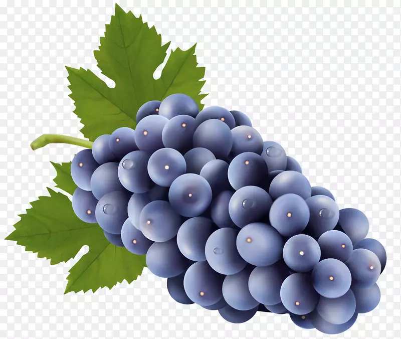 苏大拿葡萄剪贴画-不含葡萄的PNG剪贴画图片