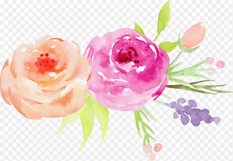 花卉水彩画花园玫瑰.手绘水彩画玫瑰装饰元素
